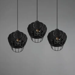 Suspension Borka, à Trois Lampes, Ronde, Noire -Paulmann || Hera Soldes 10002933 3