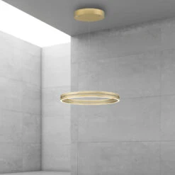 PURE E-Loop Suspension LED, CCT, Or -Paulmann || Hera Soldes 10017812 4