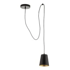 Suspension Link, à 1 Lampe, Noire -Paulmann || Hera Soldes 3071137 2