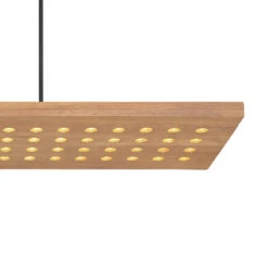 Globo Suspension LED Dolores, Noir Mat/brun Clair 11 Globo Suspension LED Dolores, Noir Mat/brun Clair -Paulmann || Hera Soldes 4015608 3