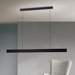 Suspension LED Gideon, Up- & Downlight, Noire -Paulmann || Hera Soldes 7255629 3