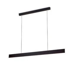 Suspension LED Gideon, Up- & Downlight, Noire -Paulmann || Hera Soldes 7255629 4