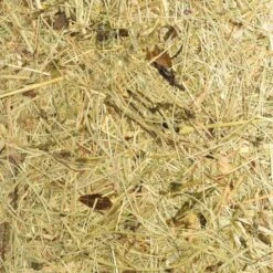 ALMUT 2610 Suspension Ø 25cm, Foin Véritable 14 ALMUT 2610 Suspension Ø 25cm, Foin Véritable -Paulmann || Hera Soldes 7594143 5