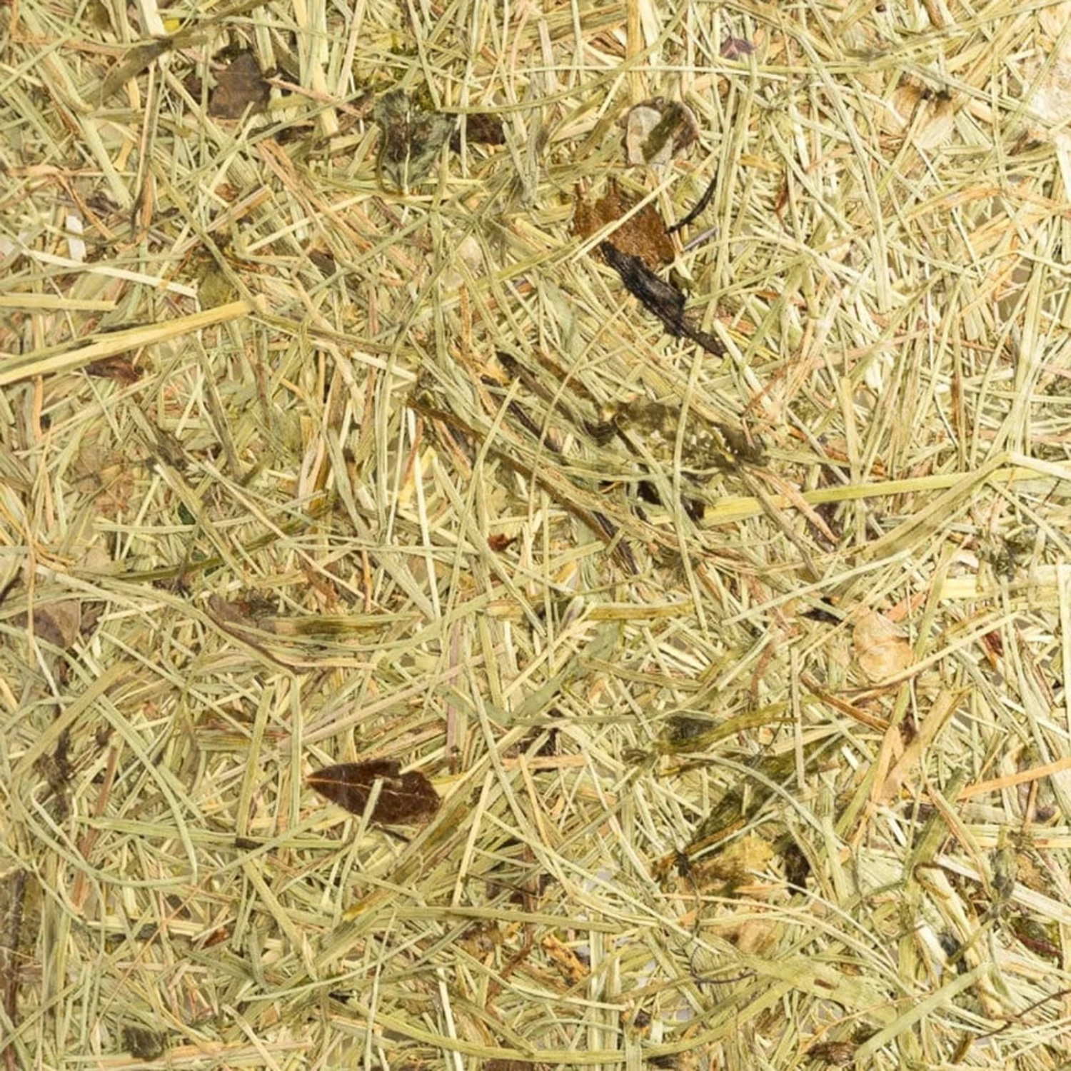 ALMUT 2610 Suspension Ø 25cm, Foin Véritable 8 ALMUT 2610 Suspension Ø 25cm, Foin Véritable – Image 6