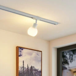 Lindby Linaro Spot Sur Rail Monophasé, Blanc 17 Lindby Linaro Spot Sur Rail Monophasé, Blanc -Paulmann || Hera Soldes 9627135 6